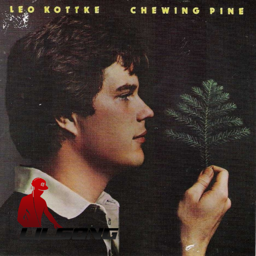 Leo Kottke - Chewing Pine